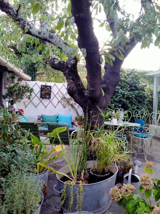 Le Citronnier Apartman Lamalou-les-Bains Kültér fotó
